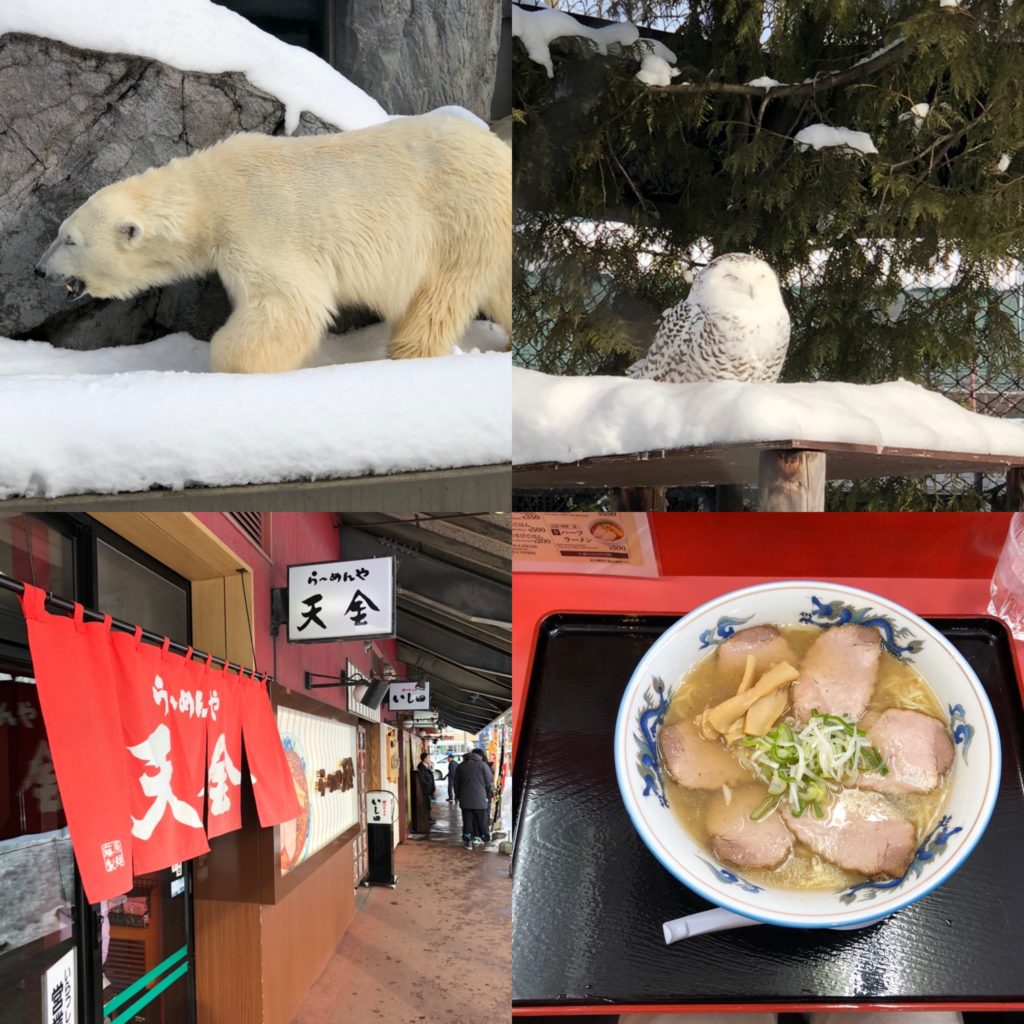 旭川スキー&グルメツアー2020その③:旭山動物園〜ラーメン〜帰宅編
