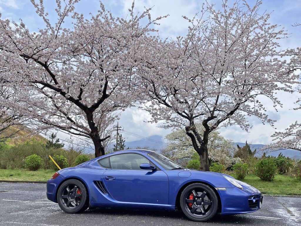987ケイマンSの事:その①