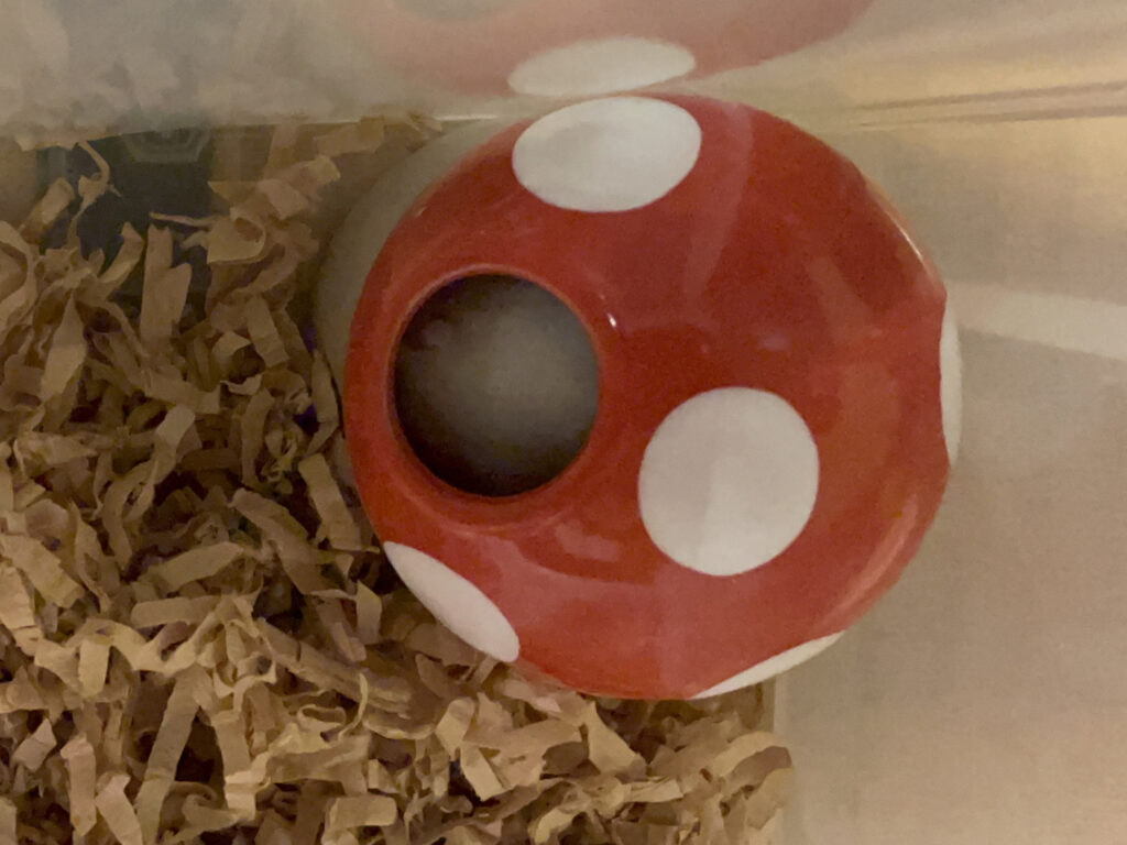 ハム公🐹（仮名）観察日記518：ハム公🐹（仮名）ケージに帰る