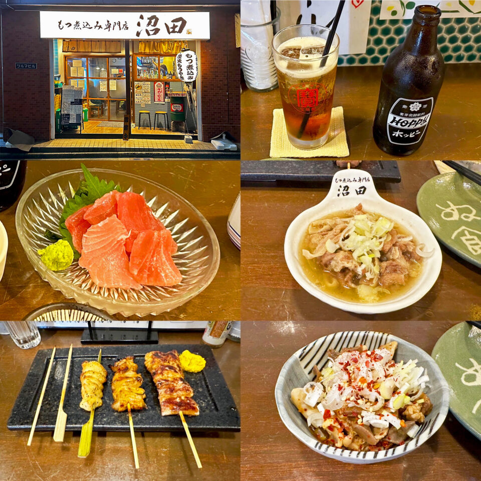 「もつ煮込み専門店 沼田 相模大野店」の「本日のお刺身」と「モツ煮込塩(柚子胡椒)」と「おまかせ5本盛り」と「ピリ辛酢もつ」